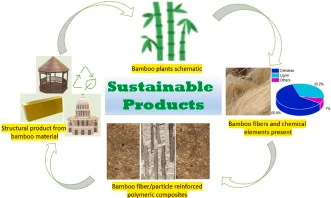 sustainable materials and recycled packaging for eco-friendly efficiency