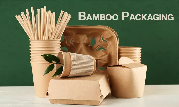 sustainable packaging boxes made from bamboo and recycled paper for a fashion brand, illustrating circular economy and green manufacturing