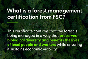 what is sustainable forestry certification 0 leryvv