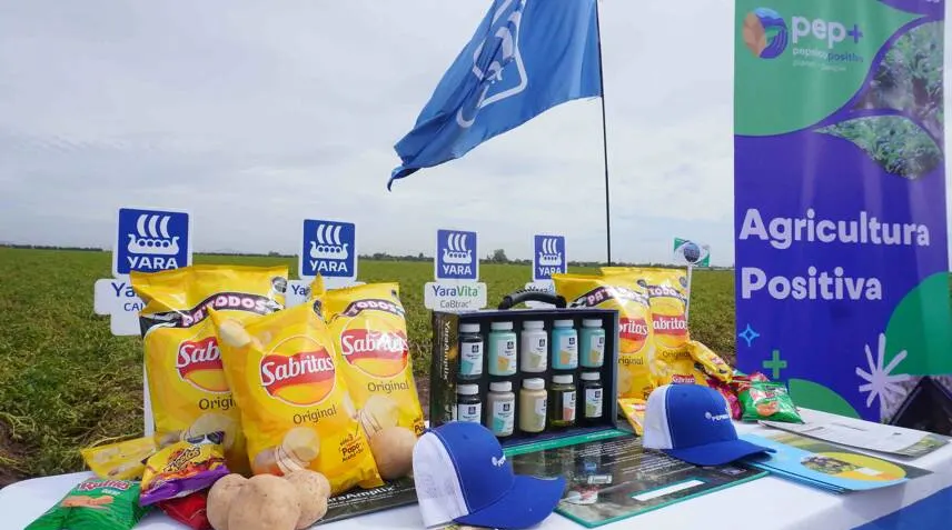 Latin American farmers use sustainable technologies for potato farming