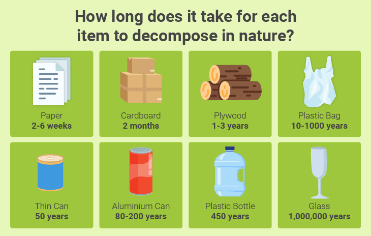 cardboard box decomposing in nature, sustainable packaging, recycling, eco-friendly waste management