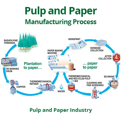 industrial paper machine refining pulp to form layered cardboard sheets