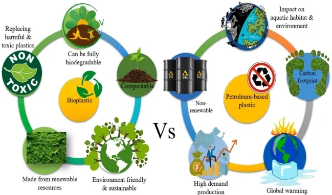 biodegradable materials high cost reasons illustration
