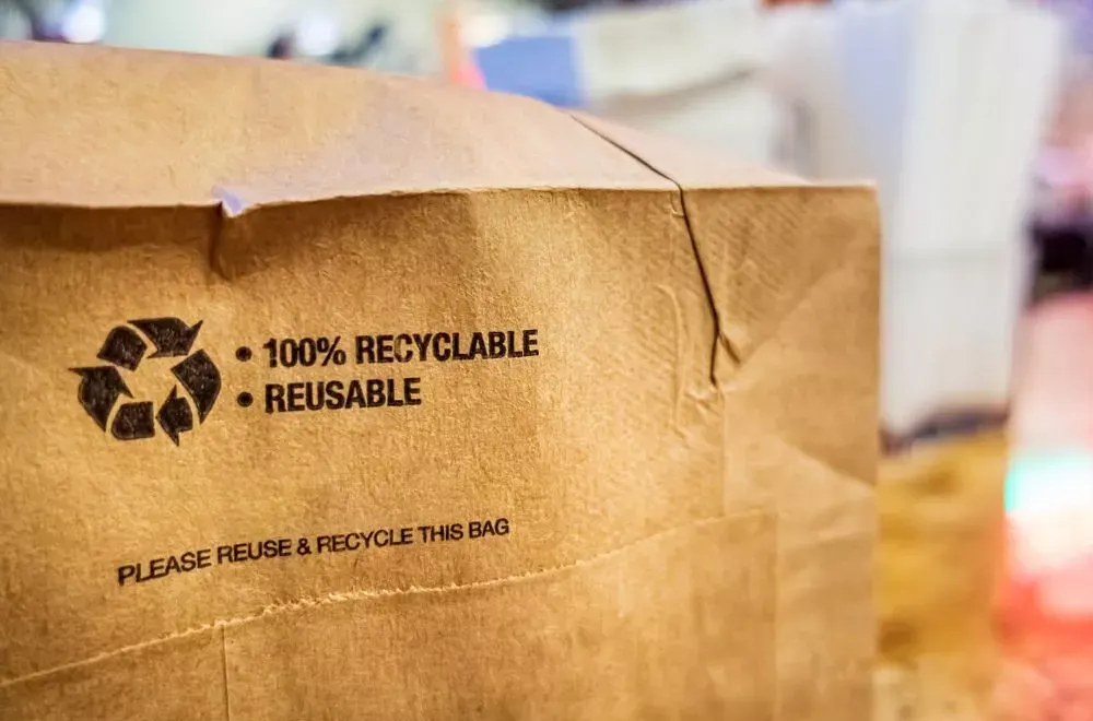 brand owner reviewing sustainable packaging options and eco-friendly design