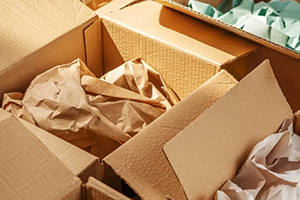 carboard package javxgv