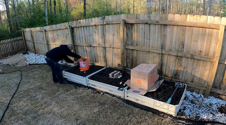 cardboard box used to protect plant from frost in garden