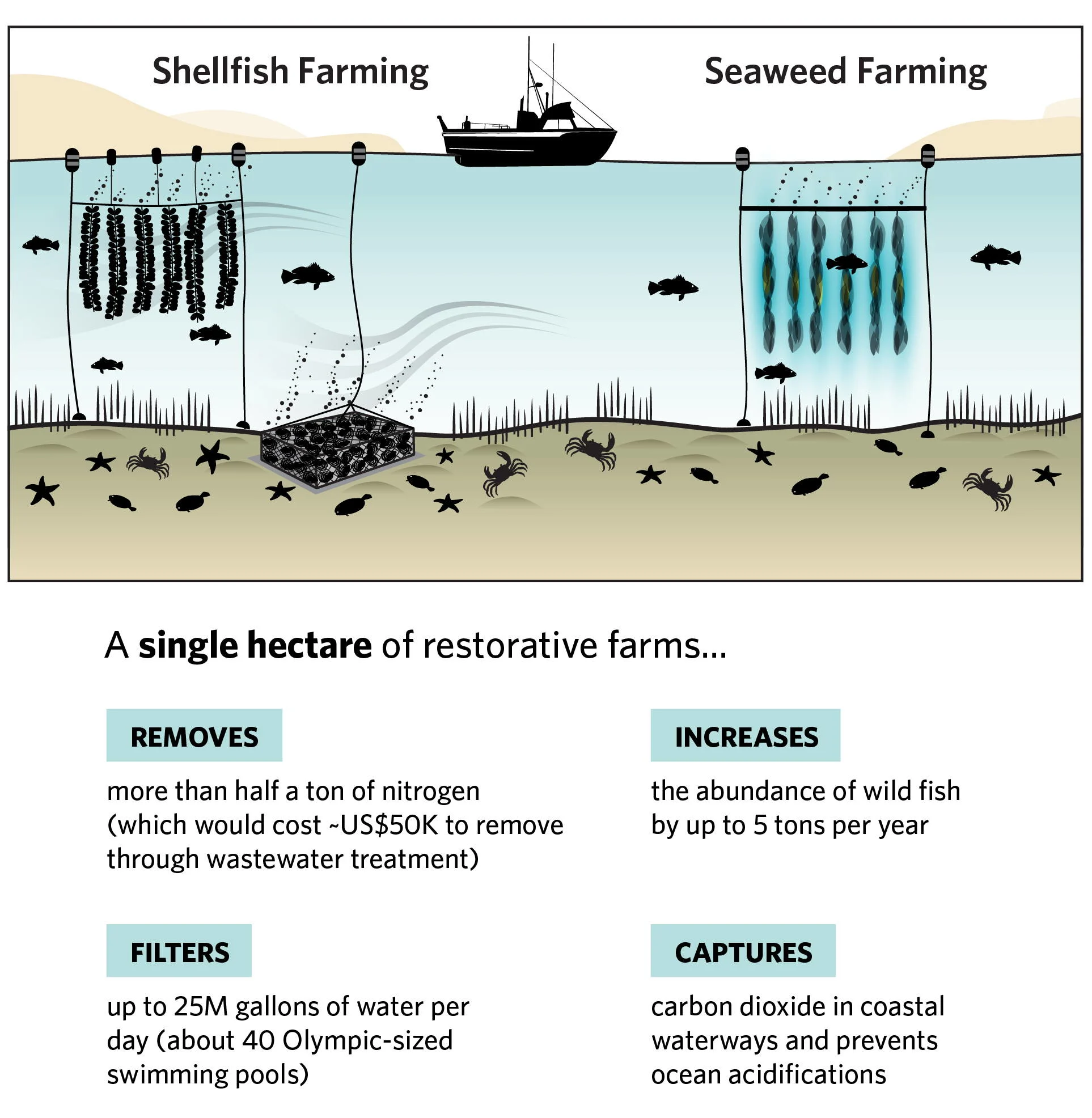 challenges of seaweed packaging industry aquaculture sustainability