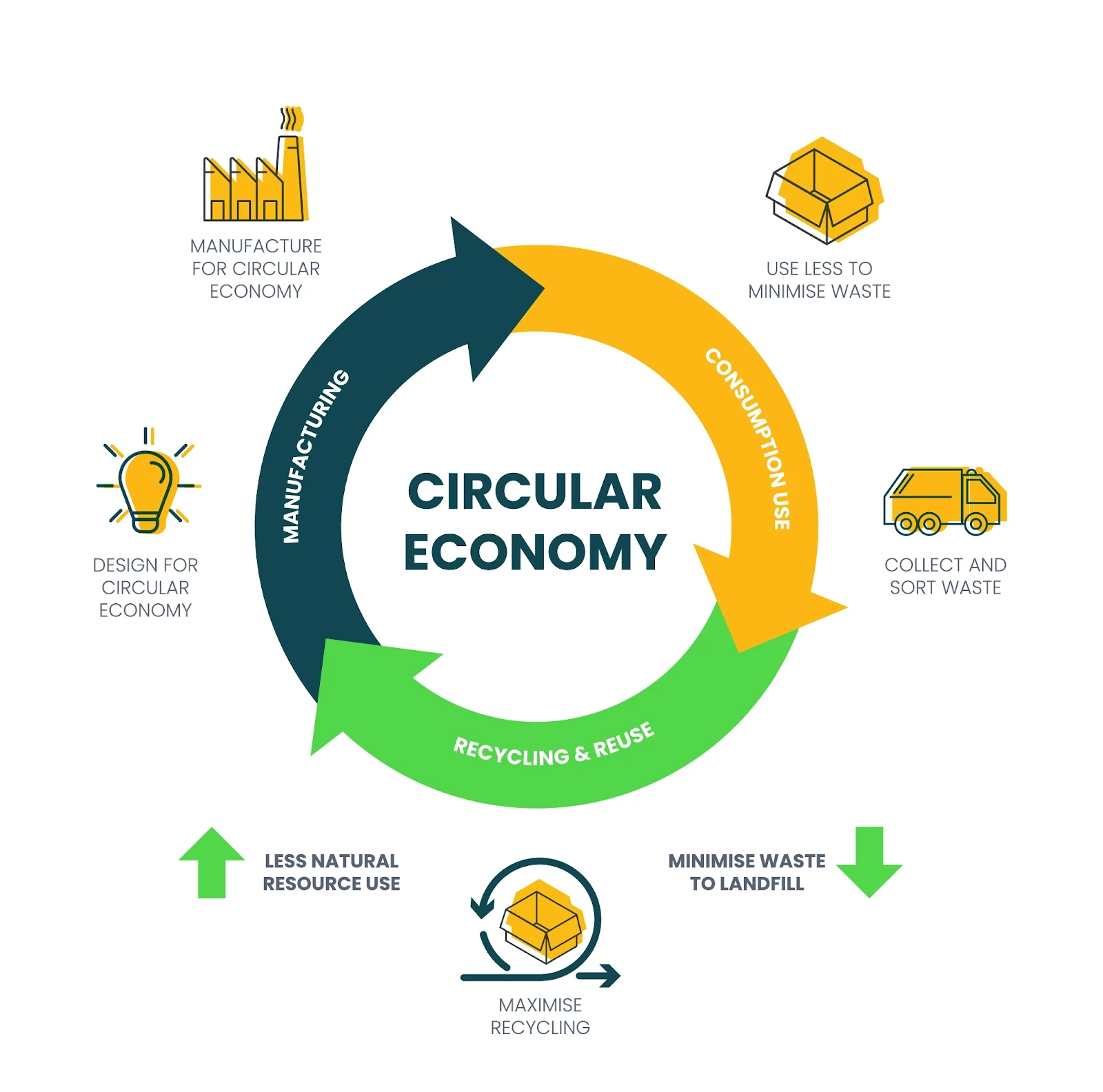 circular recycling process for paper boxes, sustainability, waste reduction
