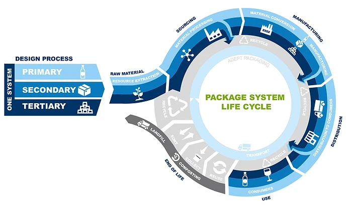 collaborative team working on integrated packaging system