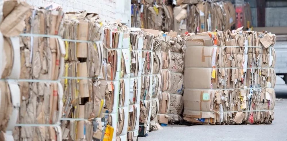 factory workers sorting cardboard for recycling, sustainable industrial waste management