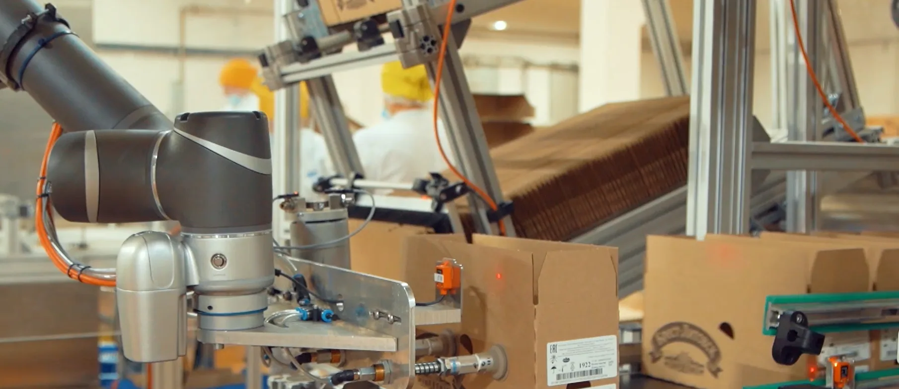 humans and robots collaborating on modern packaging line