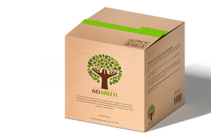 kraft shipping boxes jetci6