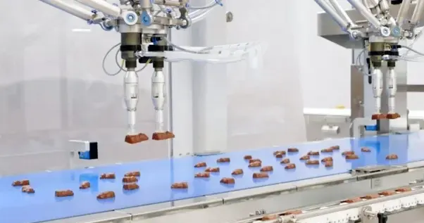robots automating packaging lines with palletizing and collaborative cobots