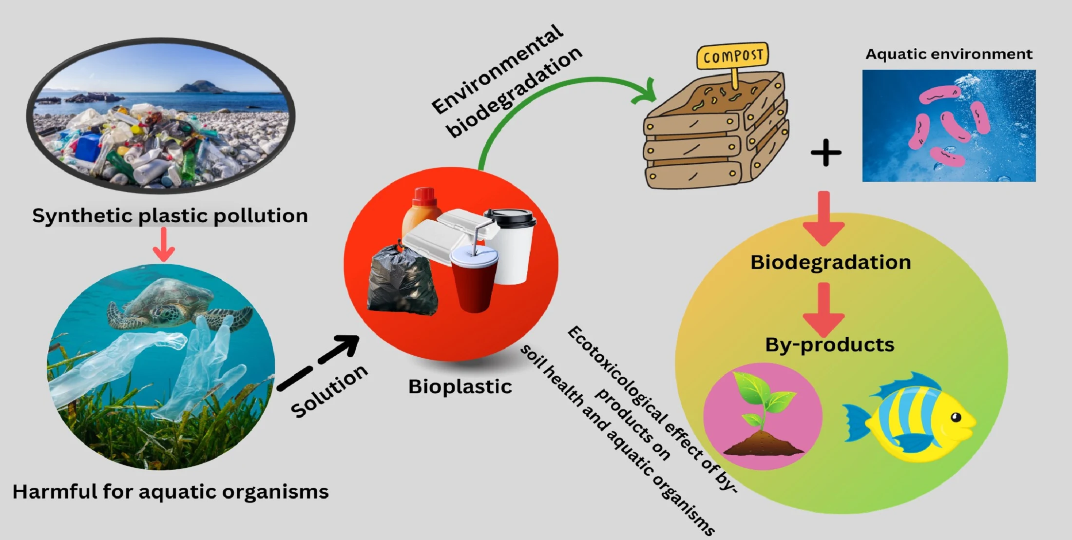 scientists developing biodegradable polymers with alternative feedstocks in lab