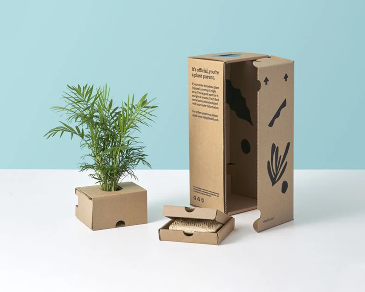 sustainable packaging examples with recyclable rigid and lightweight boxes