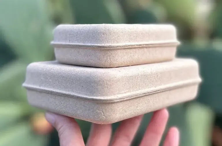 sustainable packaging materials eco-friendly design recycled cardboard