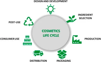 team planning sustainability vision eco-friendly packaging strategy